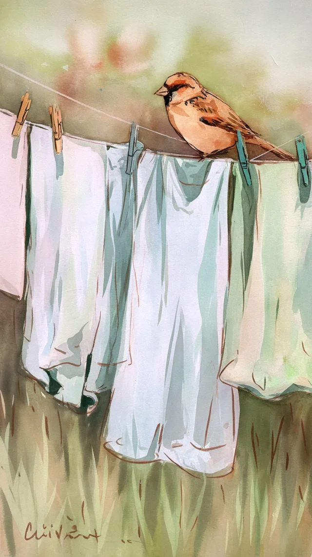 Sparrow Watercolor: Ideogram v2a, v2.0, v3.0 Art Compared - v2.0 - Image 2