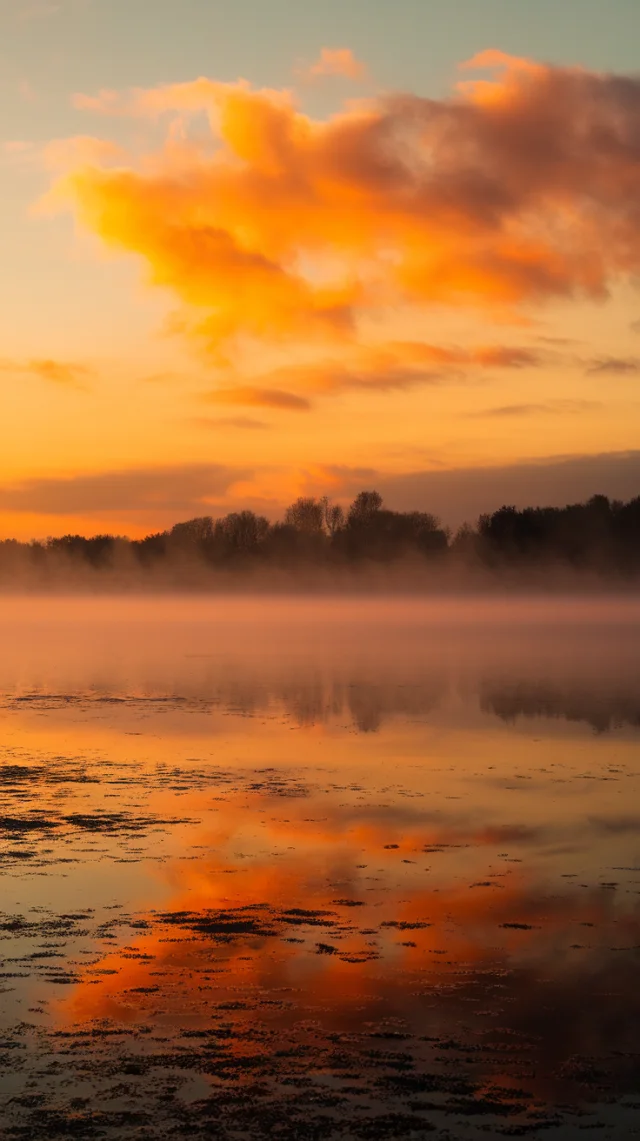 Ideogram Tangerine Dream Photorealistic Landscapes: v2a-v3.0 - v2.0 - Image 4