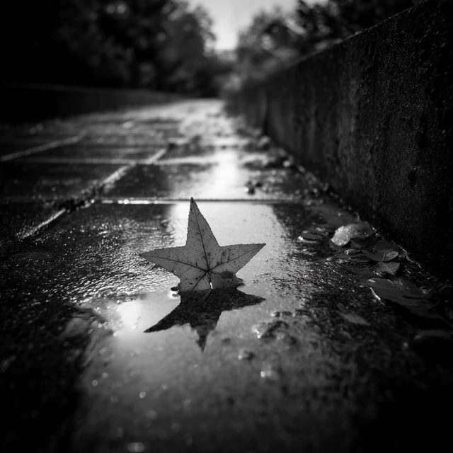 Fallen Star AI Art: Midjourney v5.2, v6.1, v7.0 Compared - v7.0 - Image 3