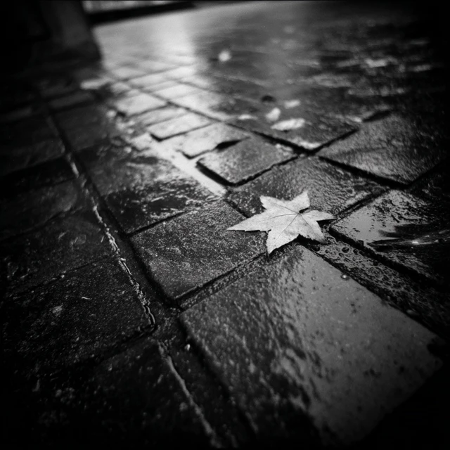 Fallen Star AI Art: Midjourney v5.2, v6.1, v7.0 Compared - v7.0 - Image 2