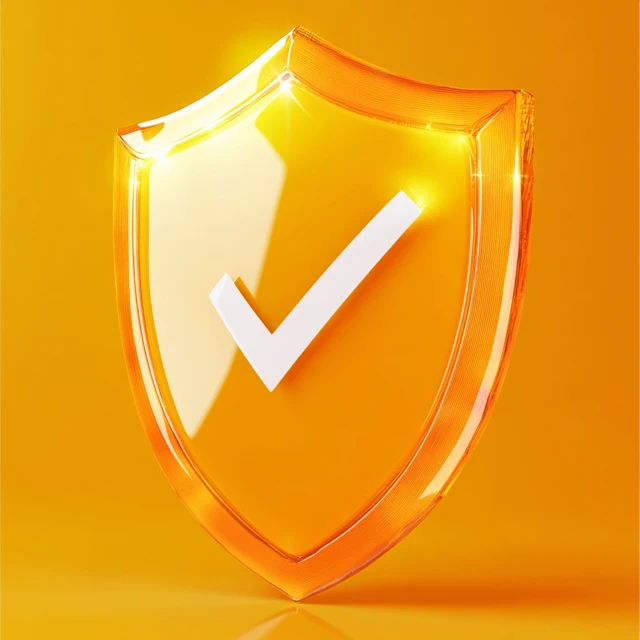 v6.1