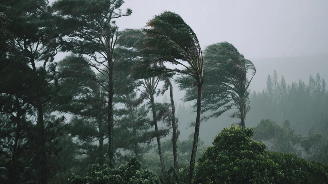 Midjourney Moody Hurricane Scene: v5.2-v7.0 Comparison - v7.0 - Image 3