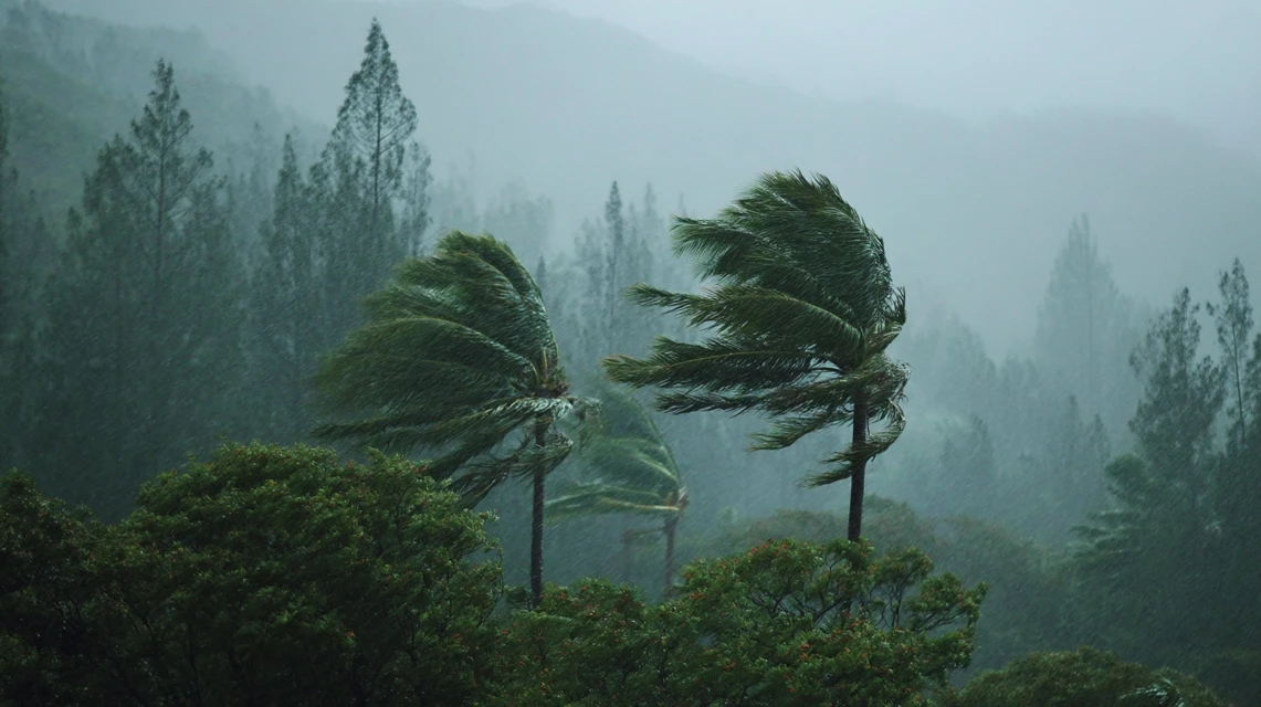 Midjourney Moody Hurricane Scene: v5.2-v7.0 Comparison - v7.0 - Image 2